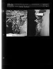Wreck (2 Negatives (March 26, 1959) [Sleeve 46, Folder c, Box 17]
